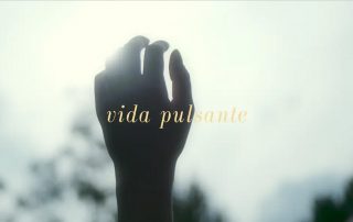 Vida Pulsante