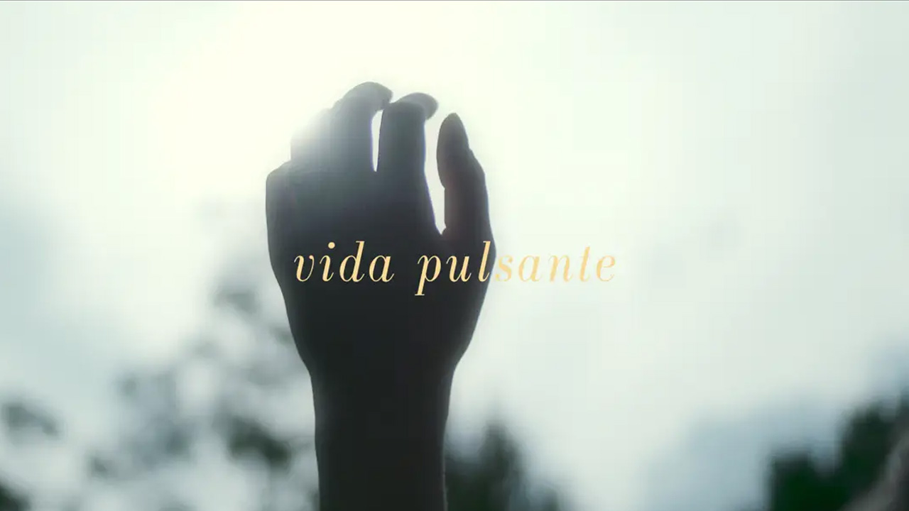 Vida Pulsante